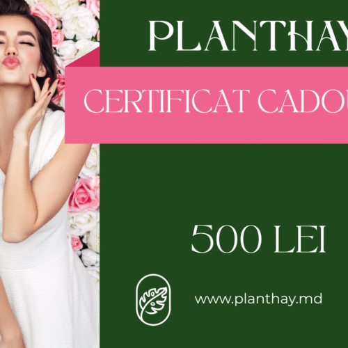 Certificat Cadou Planthay 500 MDL